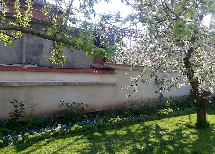 ゲストハウス Bobekova Kashta パナギュリシテ