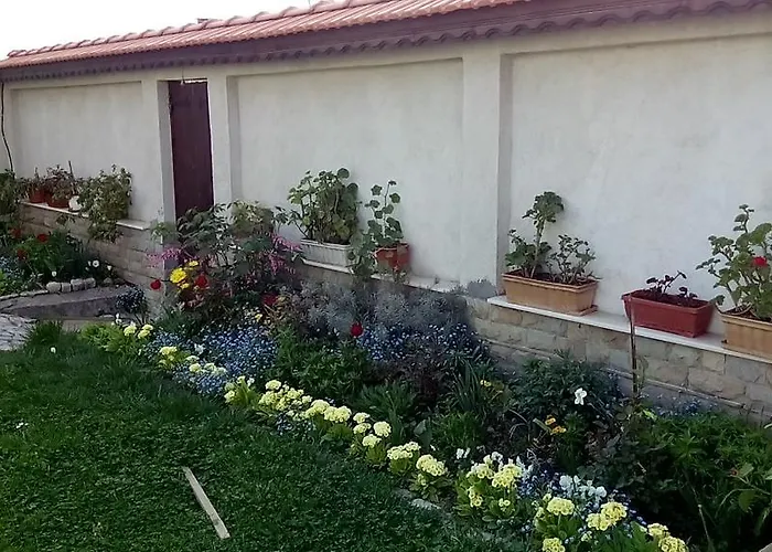 ゲストハウス Bobekova Kashta パナギュリシテ